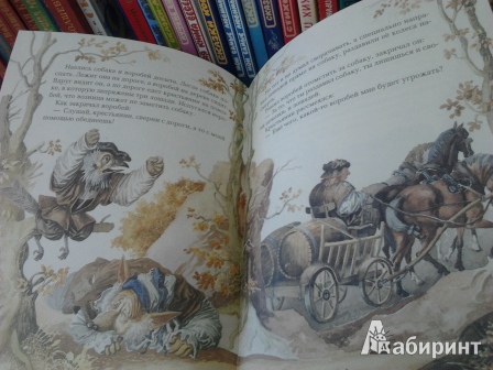 Иллюстрация 103 из 105 для Сказки - Гримм Якоб и Вильгельм | Лабиринт - книги. Источник: angela_kvitka