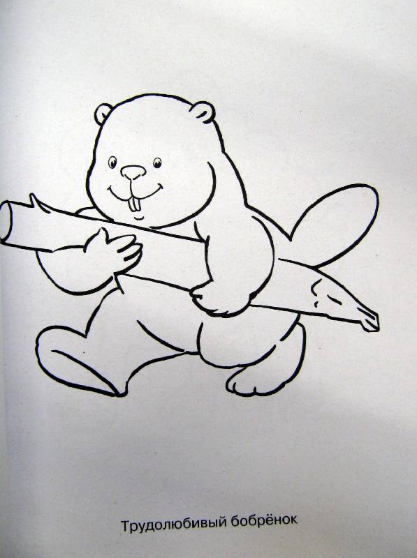 Иллюстрация 23 из 24 для Рисуем зверюшек: Прозрачные странички | Лабиринт - книги. Источник: Спанч Боб