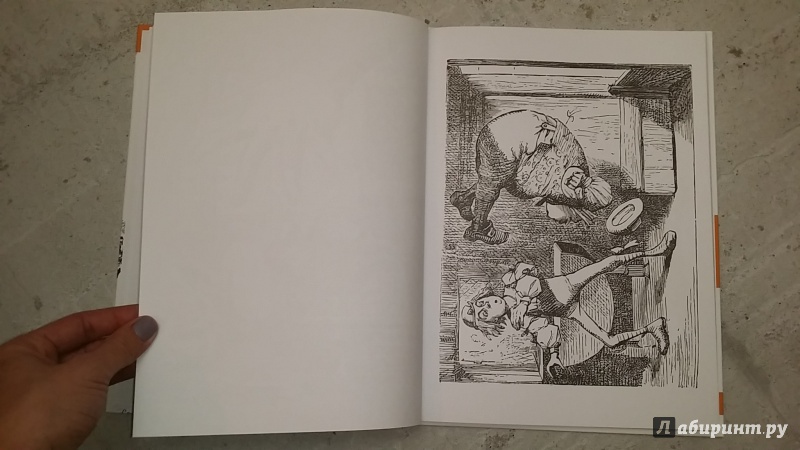 Иллюстрация 12 из 18 для Алиса Джона Тенниела. Раскраски, поднимающие настроение | Лабиринт - книги. Источник: Машкова Анна