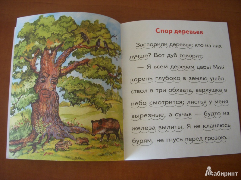 Иллюстрация 5 из 21 для Спор деревьев - Константин Ушинский | Лабиринт - книги. Источник: Bulgakova  Tatjana