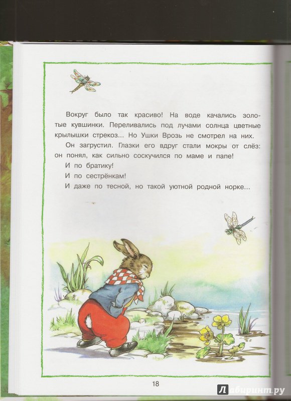 Иллюстрация 46 из 118 для Лесные истории - Рене Клок | Лабиринт - книги. Источник: Ольга