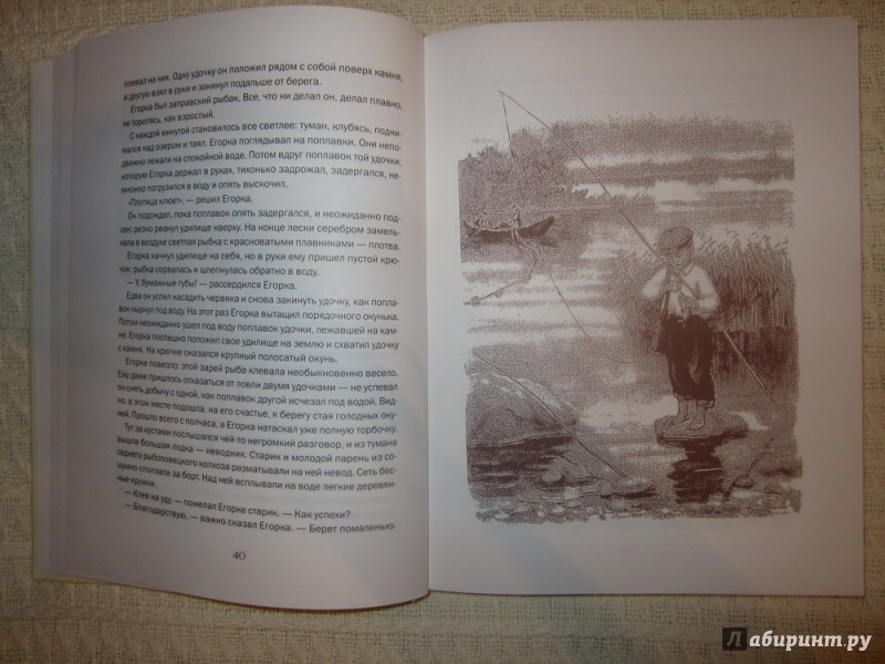 Иллюстрация 21 из 38 для Я учил их птицам - Виталий Бианки | Лабиринт - книги. Источник: ЮлияО