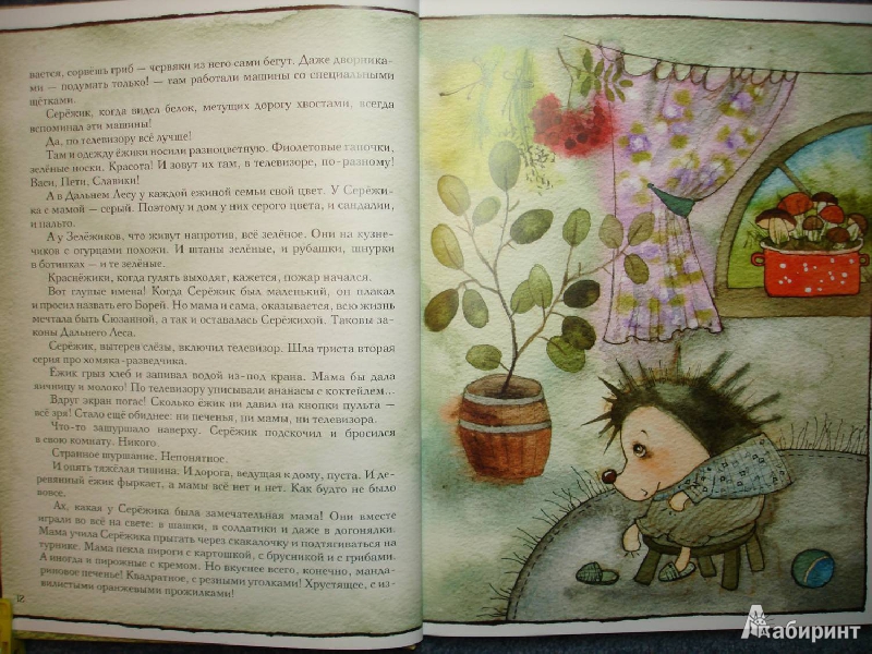 Иллюстрация 36 из 195 для Серёжик - Елена Ракитина | Лабиринт - книги. Источник: Сорокина  Лариса