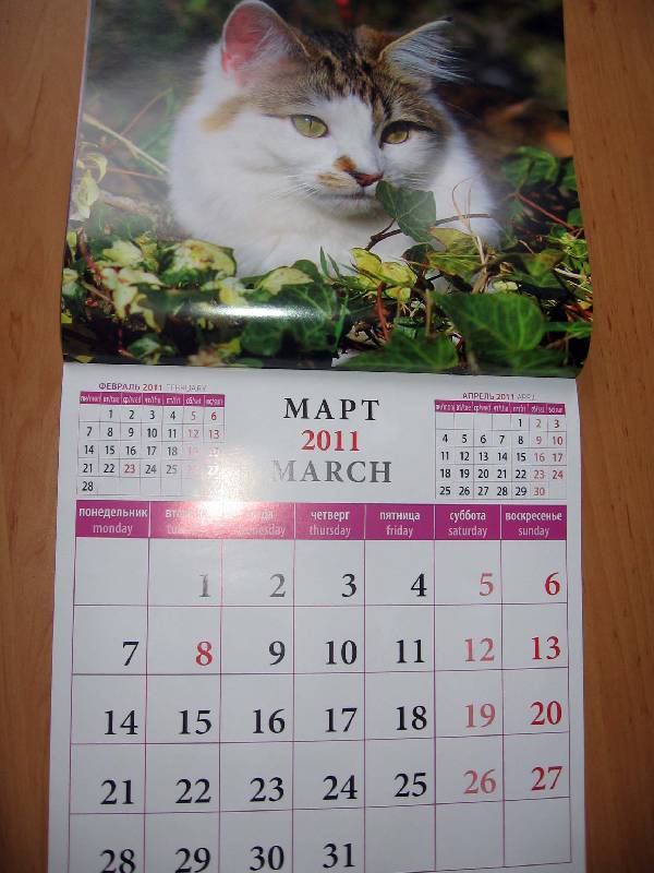 Иллюстрация 4 из 13 для Календарь настенный 2011 год. "Кошки" (71021) | Лабиринт - сувениры. Источник: Red cat ;)