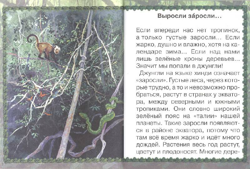 Иллюстрация 5 из 17 для Джунгли или путешествие по тропическому лесу - Ольга Колпакова | Лабиринт - книги. Источник: мамаОля