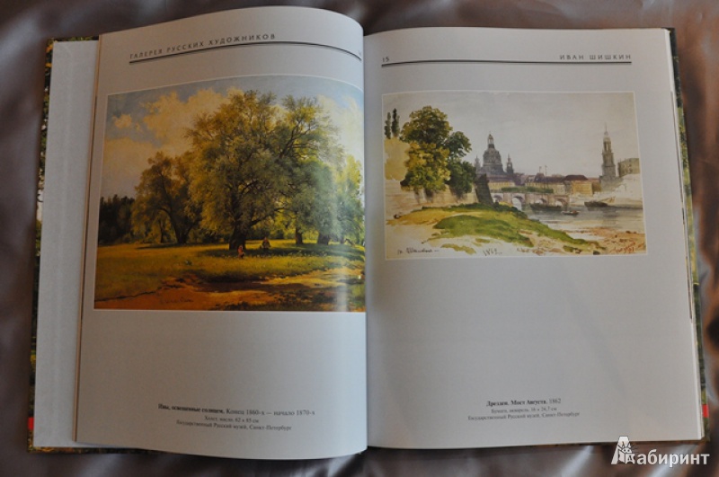 Иллюстрация 15 из 19 для Иван Шишкин. 1832-1898 | Лабиринт - книги. Источник: Olenika
