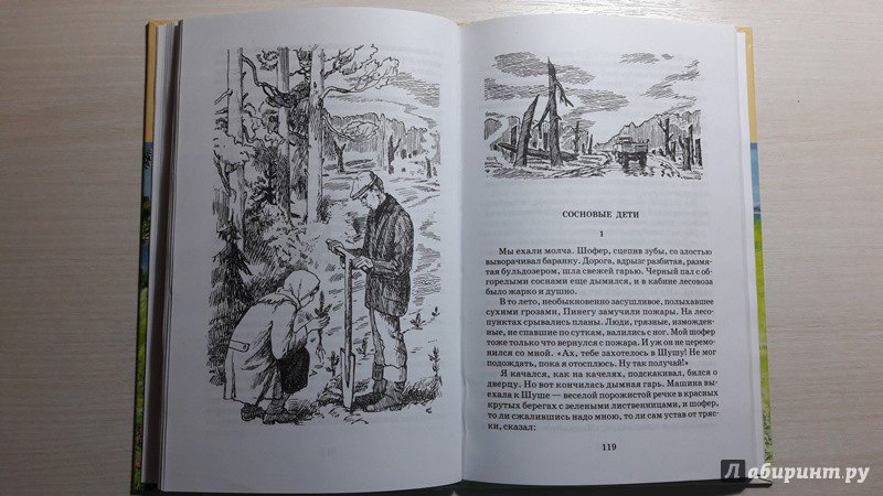 Иллюстрация 42 из 54 для О чем плачут лошади - Федор Абрамов | Лабиринт - книги. Источник: Елена  Е.