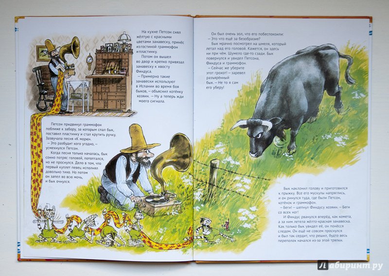 Иллюстрация 46 из 80 для Именинный пирог - Свен Нурдквист | Лабиринт - книги. Источник: Строчинская  Надежда