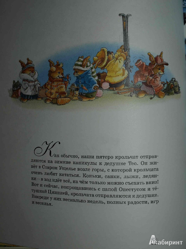 Иллюстрация 31 из 44 для Новогодняя книга кроличьих историй - Юрье, Жуанниго | Лабиринт - книги. Источник: Гусева  Анна Сергеевна