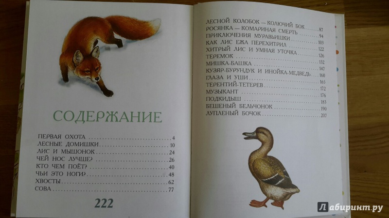 Иллюстрация 10 из 36 для Сказки для детей - Виталий Бианки | Лабиринт - книги. Источник: Елена