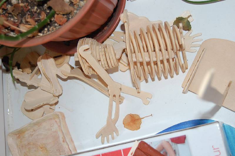 Иллюстрация 14 из 15 для Сборная деревянная модель Скелет человека | Лабиринт - игрушки. Источник: ИринаИ