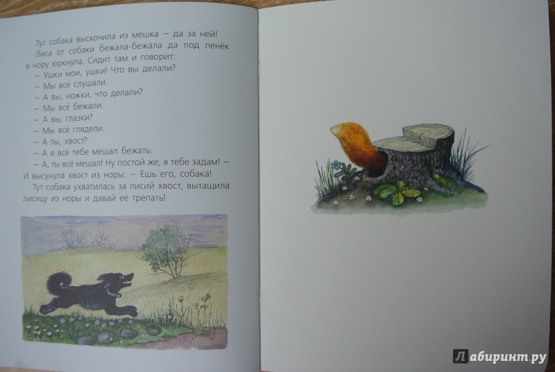 Иллюстрация 18 из 47 для Лисичка со скалочкой | Лабиринт - книги. Источник: adsveta