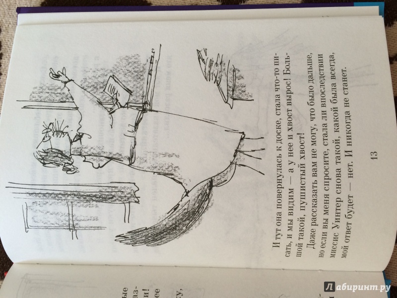 Иллюстрация 20 из 22 для Волшебный палец - Роальд Даль | Лабиринт - книги. Источник: Ann