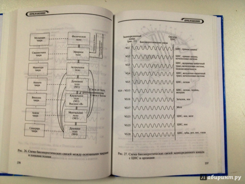 Иллюстрация 23 из 27 для Биолокация для всех. Система самодиагностики и самоисцеления человека - Людмила Пучко | Лабиринт - книги. Источник: Forlani