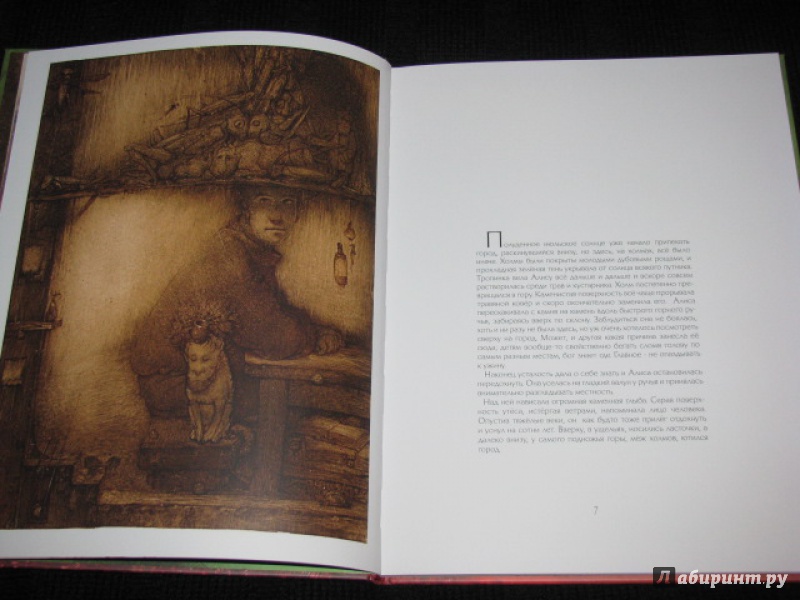 Иллюстрация 35 из 52 для Алиса и говорящая гора - Кирилл Челушкин | Лабиринт - книги. Источник: Nemertona