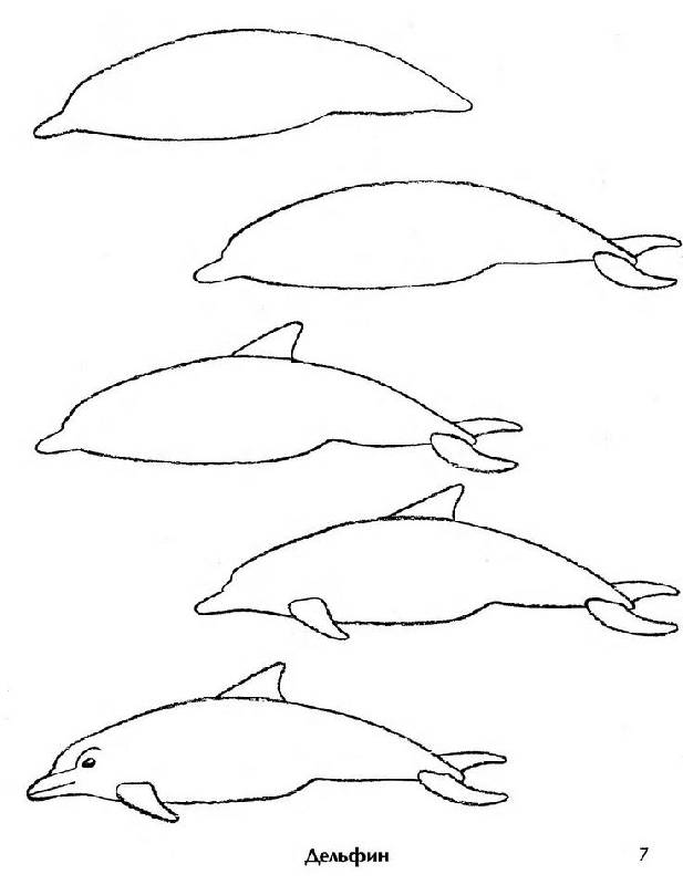 Иллюстрация 1 из 41 для Рисование. Первые шаги - Динара Селиверстова | Лабиринт - книги. Источник: The Cat