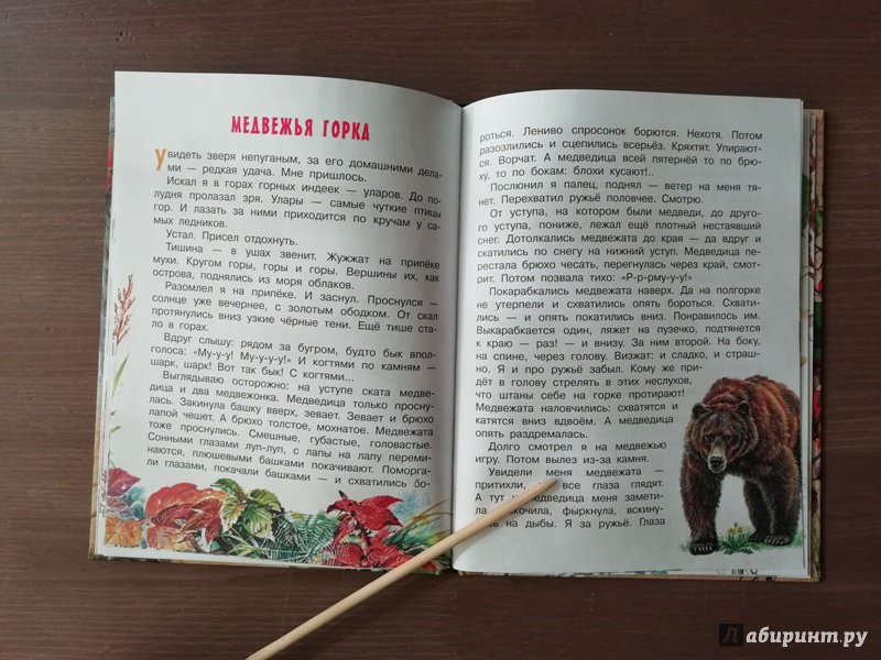 Иллюстрация 50 из 65 для Лесные сказки - Николай Сладков | Лабиринт - книги. Источник: Гошева  Елена
