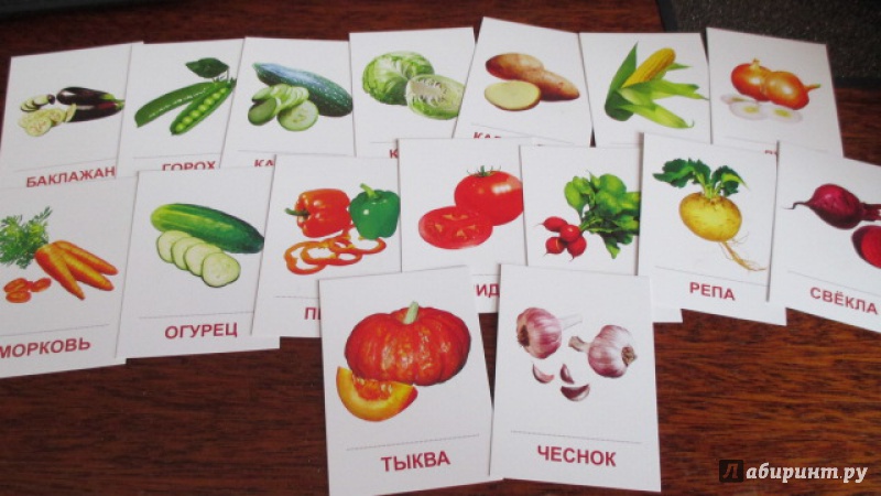 Иллюстрация 4 из 19 для Раздаточные карточки "Овощи" (63х87 мм) | Лабиринт - книги. Источник: Вероника Руднева