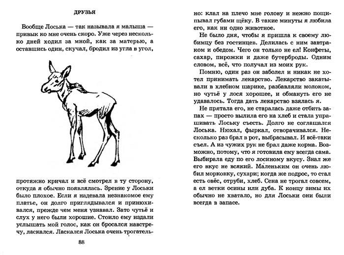 Иллюстрация 5 из 32 для Забавные животные - Вера Чаплина | Лабиринт - книги. Источник: Кнопа2