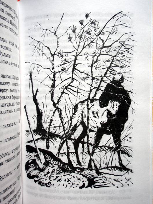 Иллюстрация 19 из 22 для Кепка с карасями - Юрий Коваль | Лабиринт - книги. Источник: beet