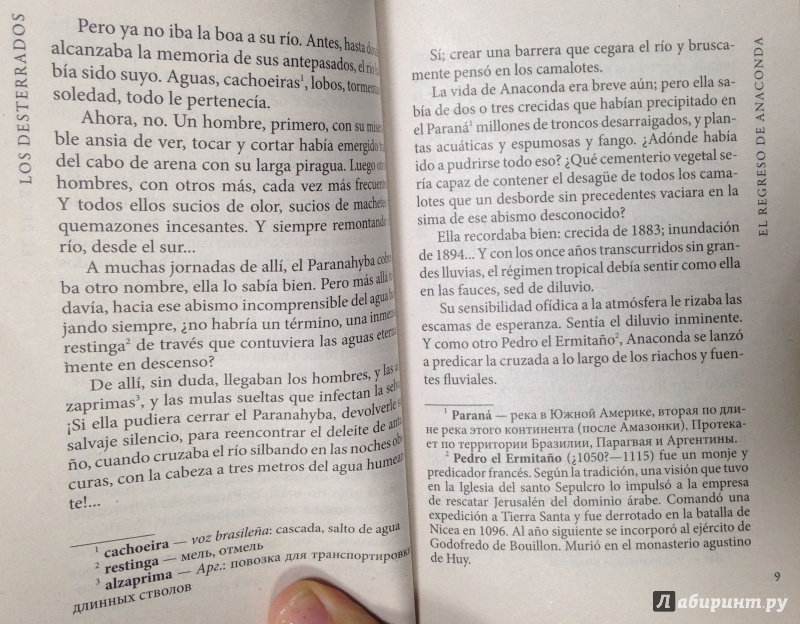 Иллюстрация 7 из 7 для Los Desterrados - Horacio Quiroga | Лабиринт - книги. Источник: Tatiana Sheehan