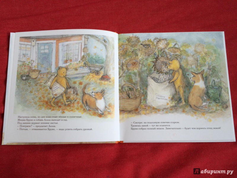 Иллюстрация 17 из 53 для Осень мишки Бруно - Гунилла Ингвес | Лабиринт - книги. Источник: Сан Санна