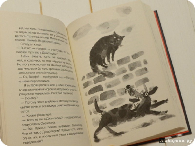 Иллюстрация 25 из 37 для Дневник кота-убийцы. Все истории - Энн Файн | Лабиринт - книги. Источник: anne-d-autriche