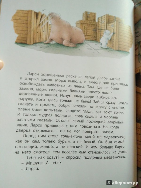 Иллюстрация 29 из 47 для Белый медвежонок находит друга - Беер Де | Лабиринт - книги. Источник: mariyavorobeva.dp