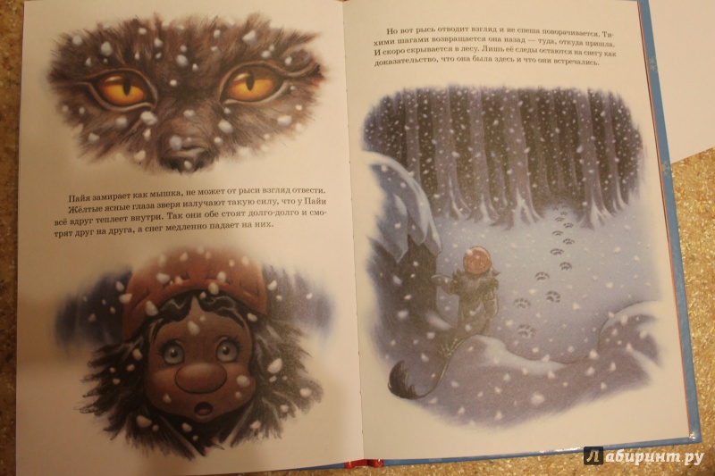 Иллюстрация 15 из 20 для Следы на снегу - Сиссель Бёэ | Лабиринт - книги. Источник: Шульгина  Анастасия Сергеевна