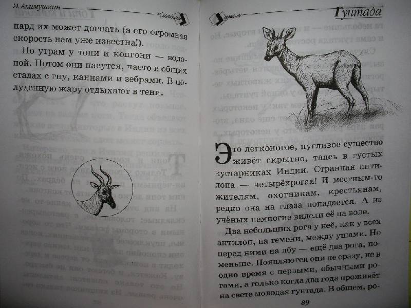 Иллюстрация 16 из 24 для В мире животных - Игорь Акимушкин | Лабиринт - книги. Источник: Tiger.