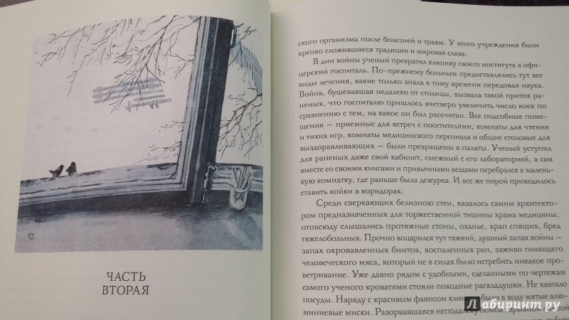 Иллюстрация 19 из 42 для Повесть о настоящем человеке - Борис Полевой | Лабиринт - книги. Источник: С.  М.