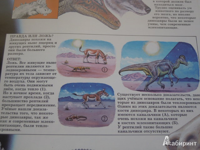 Иллюстрация 19 из 21 для Динозавры - Джон Веско | Лабиринт - книги. Источник: Iwolga