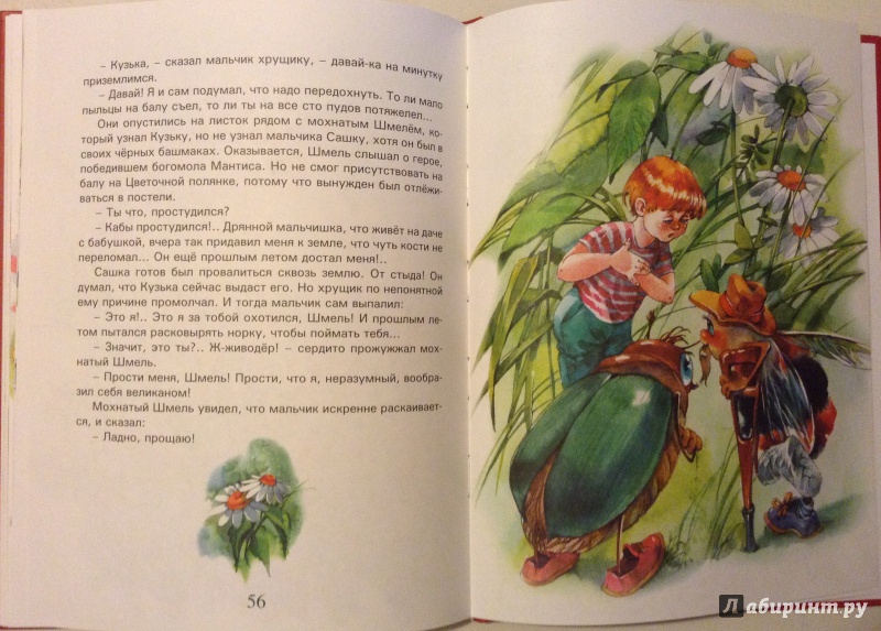 Иллюстрация 21 из 21 для Сказки волшебного луга - Валерий Кастрючин | Лабиринт - книги. Источник: Lemona