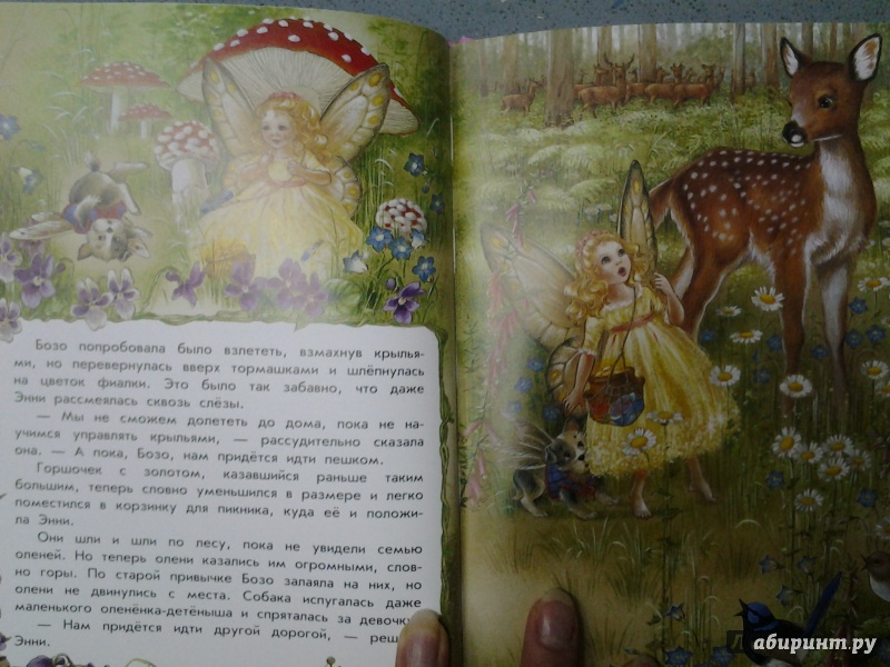 Иллюстрация 23 из 32 для Волшебная радуга - Ширли Барбер | Лабиринт - книги. Источник: Olga