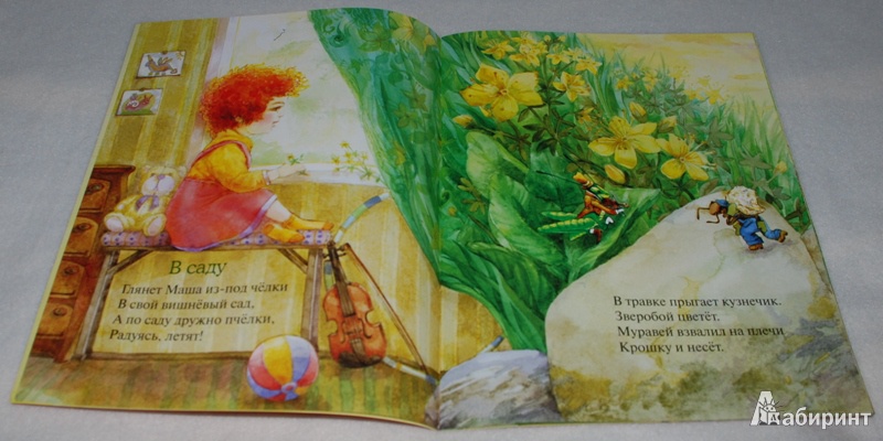 Иллюстрация 12 из 38 для Маша-пчёлка - Татьяна Дашкевич | Лабиринт - книги. Источник: Книжный кот