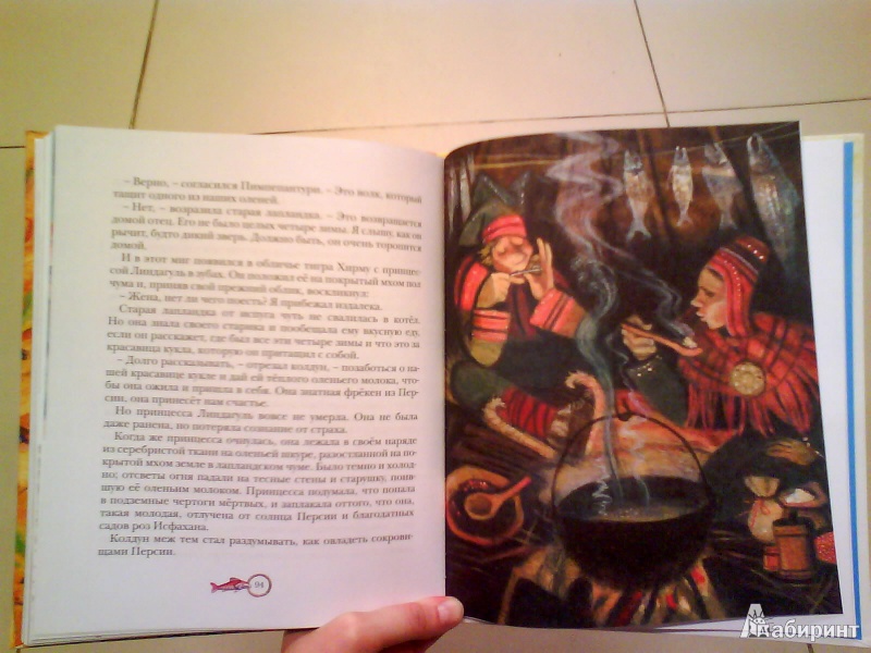Иллюстрация 22 из 65 для Принцесса Линдагуль и другие сказки | Лабиринт - книги. Источник: Мила