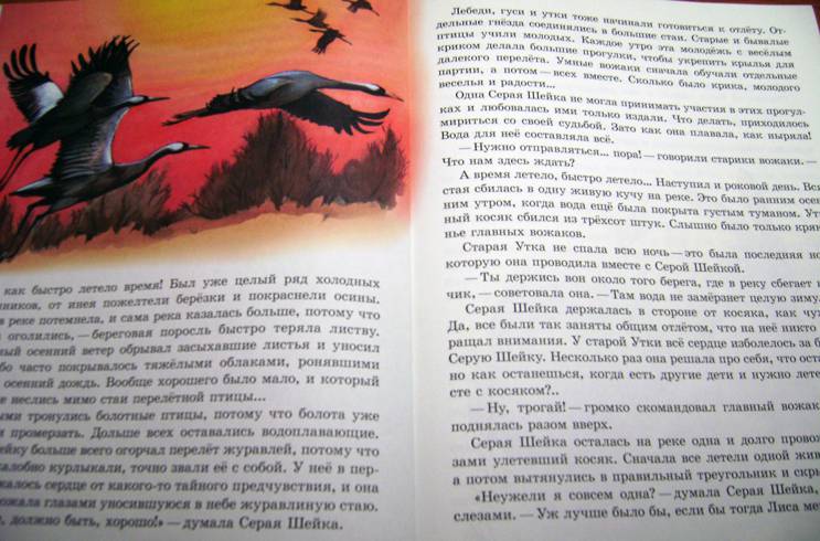 Иллюстрация 51 из 55 для Сказки о животных для малышей - Мамин-Сибиряк, Толстой, Ушинский | Лабиринт - книги. Источник: Batterfly