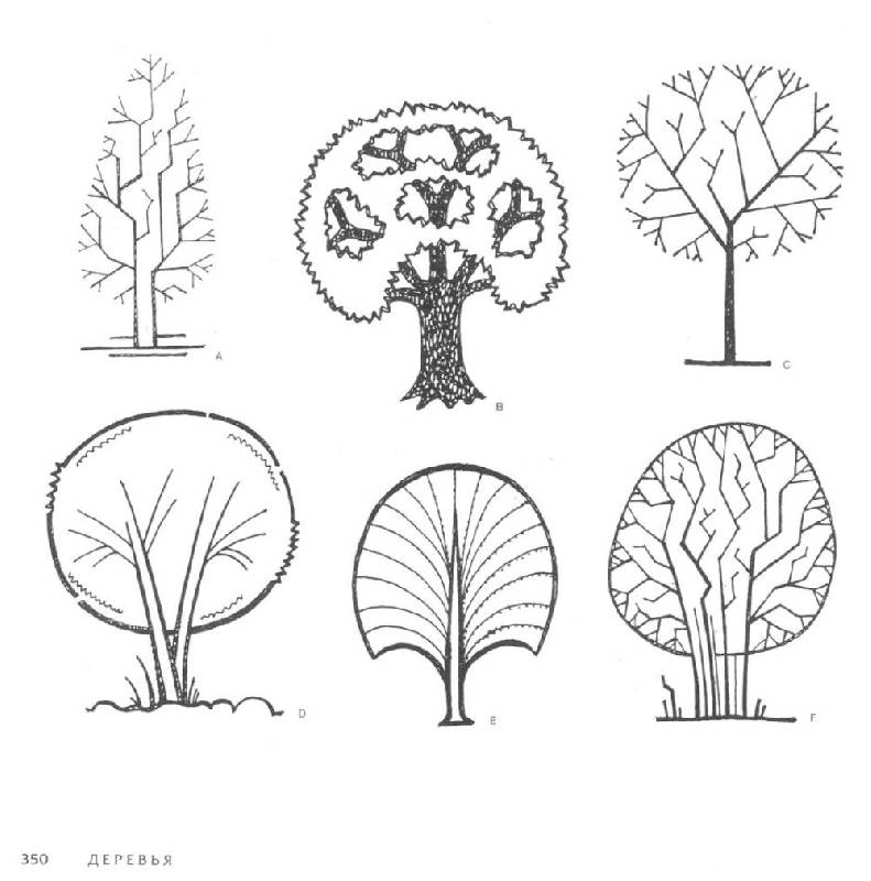 Иллюстрация 24 из 52 для 4000 мотивов: цветы и растения - Грэхем Маккэлэм | Лабиринт - книги. Источник: bel-k
