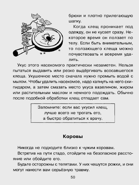 Иллюстрация 4 из 26 для Правила безопасности дома и на улице - Сергей Шинкарчук | Лабиринт - книги. Источник: enotniydrug