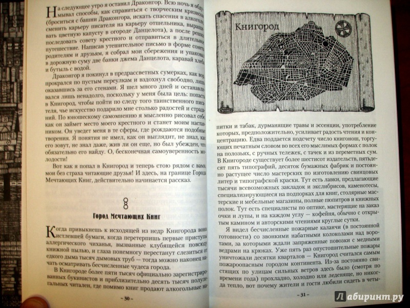 Иллюстрация 16 из 73 для Город Мечтающих Книг - Вальтер Моэрс | Лабиринт - книги. Источник: Kassavetes