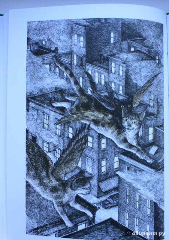 Иллюстрация 27 из 38 для Крылатые кошки возвращаются - Гуин Ле | Лабиринт - книги. Источник: КНИЖНОЕ ДЕТСТВО