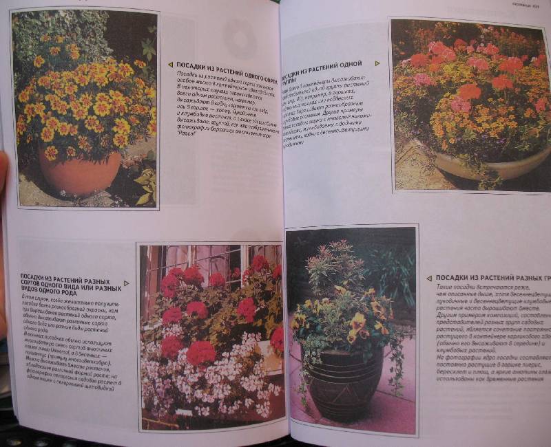 Иллюстрация 34 из 34 для Все о контейнерных растениях - Дэвид Хессайон | Лабиринт - книги. Источник: Jamberry