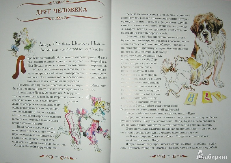 Иллюстрация 21 из 31 для Мои звери - Владимир Дуров | Лабиринт - книги. Источник: Трухина Ирина