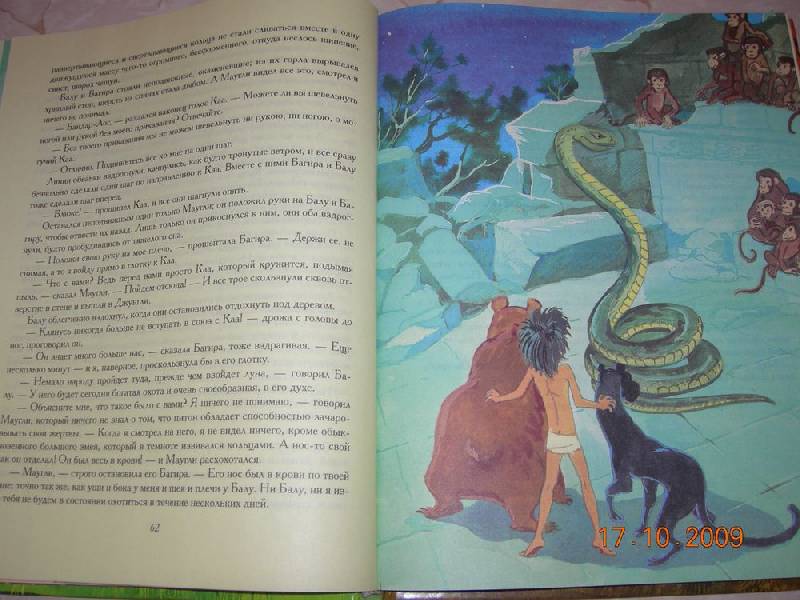 Иллюстрация 17 из 26 для Маугли - Редьярд Киплинг | Лабиринт - книги. Источник: Соловей
