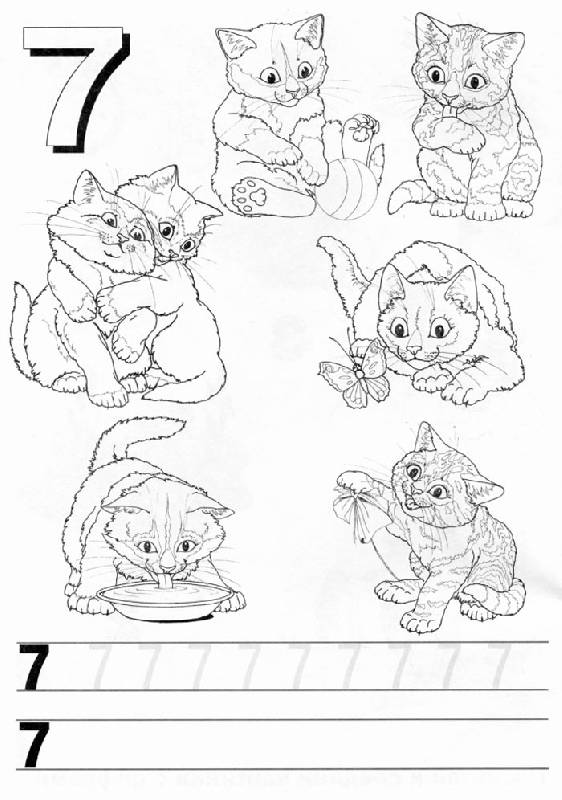Иллюстрация 6 из 15 для Счет от 1 до 10 | Лабиринт - книги. Источник: Кнопа2
