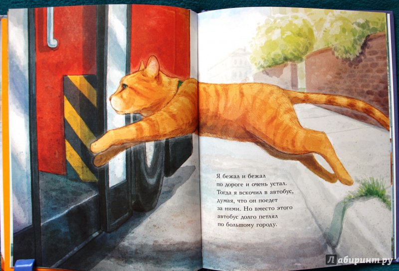 Иллюстрация 12 из 69 для Кот по имени Боб - Боуэн, Дженкинс | Лабиринт - книги. Источник: Мама-Почитайка