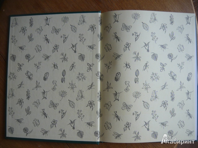 Иллюстрация 52 из 73 для Сказки сельвы: сказки о животных - Орасио Кирога | Лабиринт - книги. Источник: Ladymosquito