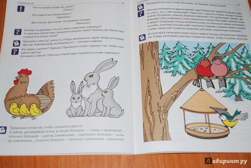 Иллюстрация 21 из 26 для Рабочая тетрадь по развитию речи для детей 5-6 лет. ФГОС ДО - Оксана Ушакова | Лабиринт - книги. Источник: Нади