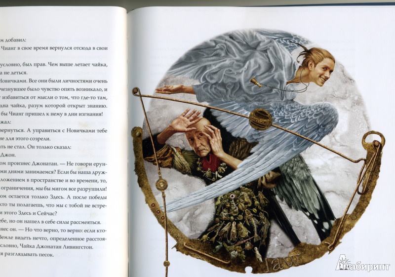 Иллюстрация 24 из 27 для Чайка Джонатан Ливингстон - Ричард Бах | Лабиринт - книги. Источник: Irina-Rain