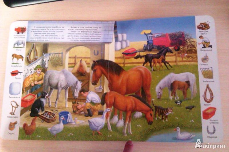 Иллюстрация 14 из 48 для На ферме | Лабиринт - книги. Источник: galchonok755